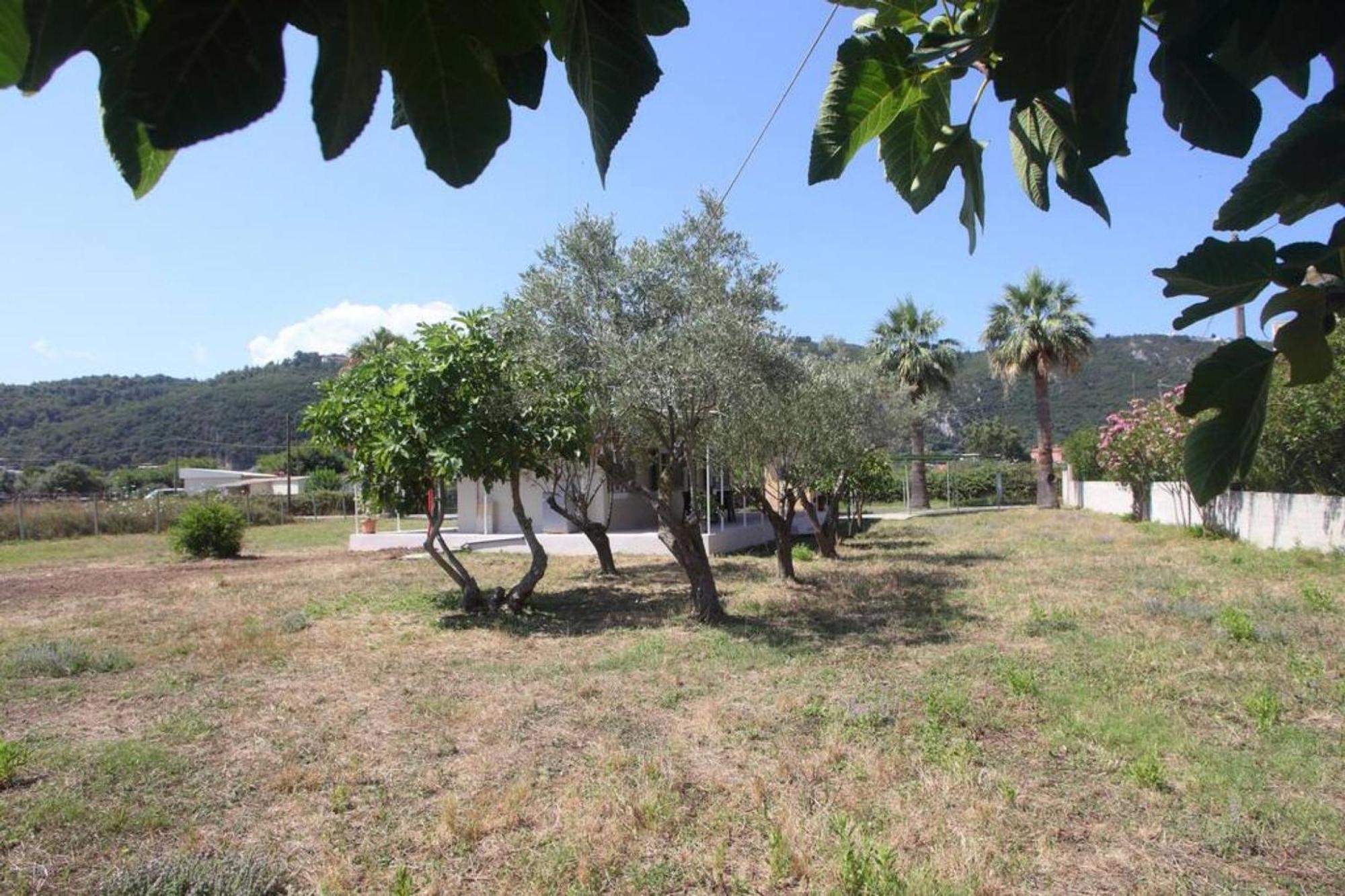 Olga Home Agios Ioannis Lefkada - Lefkada Bnb Exteriér fotografie